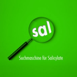 SalSearch jetzt im Portal integriert und mit eigener Domain